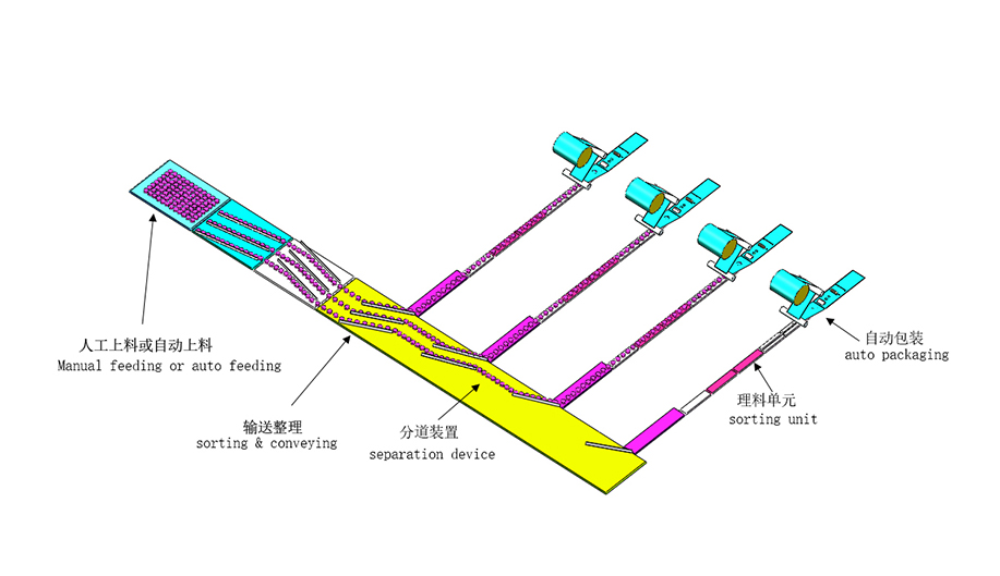 餅干食品包裝產線系統(tǒng)方案